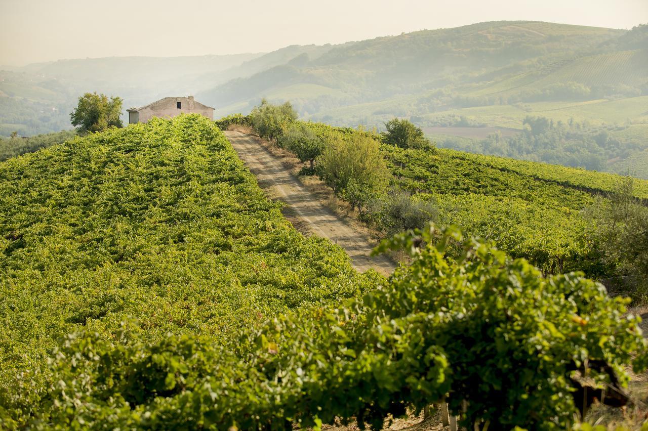 Baldovino B&B Villamagna  Exteriör bild